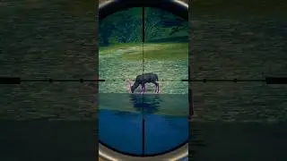 MEIN erster MELA Damhirsch! 😍 #gaming #cotw #thehunter #andreesenmedia