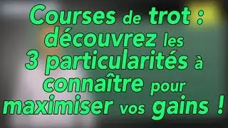3 particularités à connaître pour maximiser vos gains dans les courses de trot !!