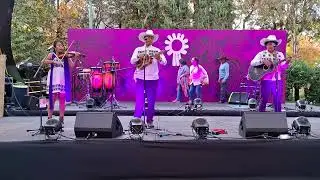 Erika Medellín y Trío Balcón Huasteco