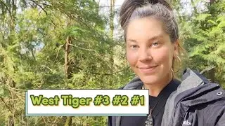 Tiger Mountain State Forest / Washington Hikes (WEST TIGER #3, #2, #1)