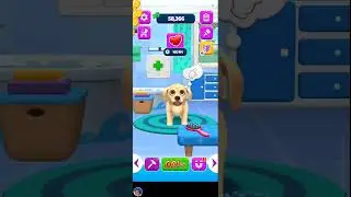Pet Run Puppy Dog Game #shortslive #petrun