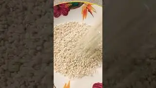 Finest Pearl Barley #shortvideo #viralvideo #asmr #satisfyingvideo #barley #grain #cereal