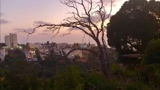 Волшебная Вечерняя Хайфа. Август / Magical Evening Haifa. Israel. August 2024.