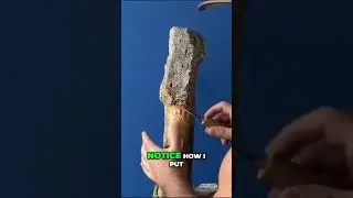 Mastering Wood Carving: Techniques for Perfect Results