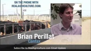 Canfax Analysis of the USDA Cattle on Feed Report for Sept 2011