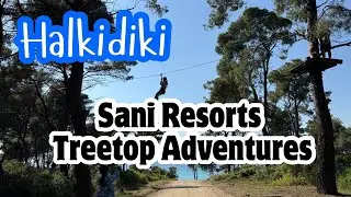 Treetop Adventure at Sani Resort | Aerial Fun in Halkidiki&rsquo;s Forest Canopy