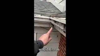 Roof Inspection