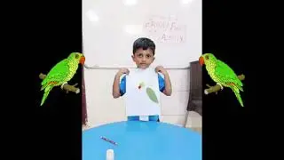 Friday Fun activity @ NEXT LEVEL KIDS SMART PLAY SCHOOL KARAIKUDI 