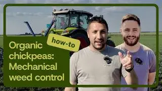 Inter-Row Cultivation | Mechanical Weed Control for Organic Chickpeas