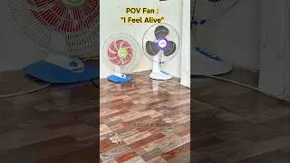 Fan | Fan Playing and Fall ‼️ #fan #ventilateur #ventilador #funny #kipasangin