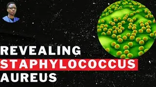 Узнайте точно, что означает стафилококк #staphylococcus #doctorfredostar #pidgin #goodlifenasense
