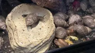 Akvariet i Bergen / Bergen Aquarium, Norway