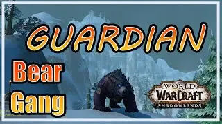 9.1 Guardian Druid Raid Guide