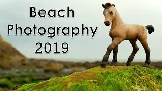 Schleich Horse Photography | Beach Photos | July 2019