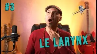 Apprendre à chanter #3 - Le larynx