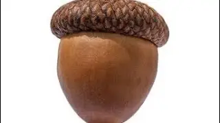 Who took my nuts board game?   Ad BUT VINE BOOM