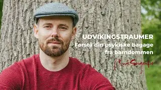 Udviklingstraumer - forst&aring; din psykiske bagage fra barndommen