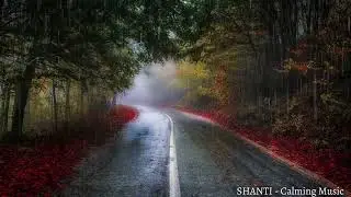 Soothing Gentle Spring Rain sound in the Park | White Noise for Relaxing Sleep, Study or Meditation