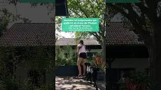 Day in a Life on a Hot Summer Day 🌞🚶‍♂️🐕 #germanlesson #learngerman #lingonigerman