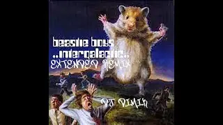 BEASTIE BOYS INTERGALACTIC EXTENDED REMIX BEASTIE BOYS VS DJ DIMIK