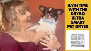 Bath Time using the Drybo Ultra Smart Pet Dryer @HomerunpetGlobal #dryboultrasmart #homerunpet