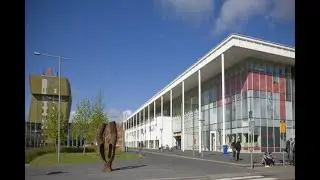 Hanze University of Applied Sciences, Университет прикладных наук Ханзе. Изучение бизнеса