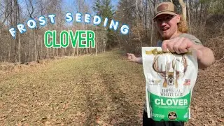 FROST SEEDING CLOVER for the first time!