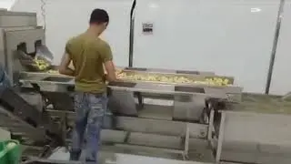 БИЗНЕС ЧИПС