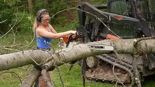 Calling In The Professionals