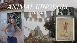 hotel check in & day at disney&rsquo;s animal kingdom! 𓃰