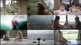 Take time and discover Dorset
