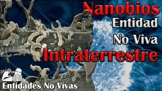 Nanobio | Entidad No viva Intraterrestre | Ep. 4