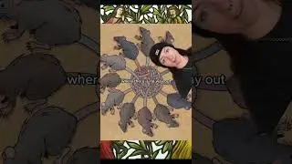 it's not what you think it is