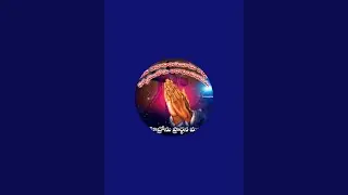 Christmas live