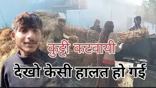आज कटर से कुट्टी कटबाई   // ( Offical by Pramod Yadav ) 🌹🚗🥇