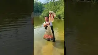 catching big freshwater fish #fishing #net #fishcurry