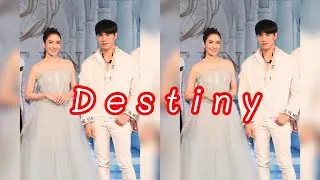 Destiny #ตี๋แอฟ โชคชะตาและฟ้าลิขิต