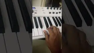 Swar plug flute | Swar plug | Arturia keylab essential | Bony kadari | Mainstage indian tones latest