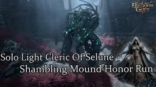Solo Light Cleric Of Selune Shadow Cursed Shambling Mound Honor Run Part 42