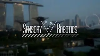 Sensory Robotics - Solution for Crisis Reporting