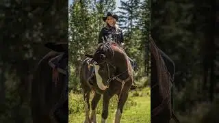 Less than 3,000 Shires left on Earth. Help us help them 💚 #horse