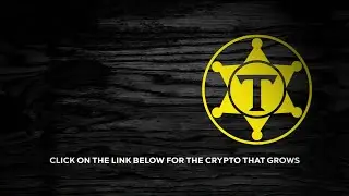 THERE'S A NEW SHERIFF IN TOWN