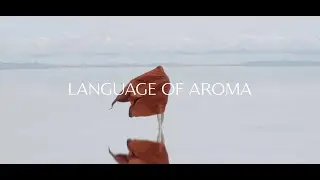 Language of Aroma Film Teaser: Designing for Inclusivity