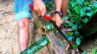 Bamboo Coffee in the Jungle - Khao Sok Thailand