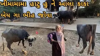 માધવપુર ગા હુ ને આલા કાકા ભીહ જોવા 