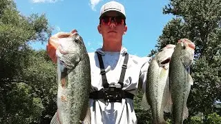 Early Summer Bass Fishing! (Cherokee Lake)