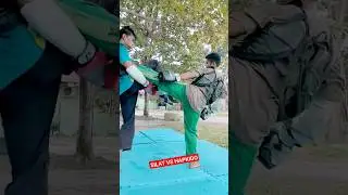 SILAT VS HAPKIDO ‼️ #tekniksilat #pencaksilat #silat