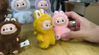 Latest Labubu Pin for Love N-Z #labubu #blindbox #unboxing 