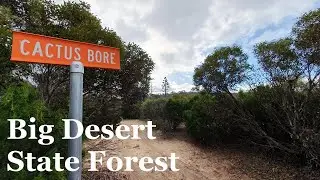 Free Camping at Cactus Bore, Big Desert State Forest, Mallee, Victoria, Australia