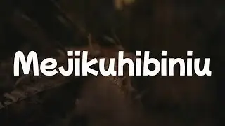 Tenxi, Suisei & Jemsii - mejikuhibiniu || [Playlist Lirik]